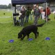 RRS_Fotogalerien_2010-09-19_Event4HappyDogs010