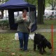 RRS_Fotogalerien_2010-09-19_Event4HappyDogs054
