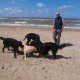 2012-07-29 RRS Holland Hundestrand_059