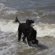 2012-07-29 RRS Holland Hundestrand_138