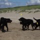 2012-07-29 RRS Holland Hundestrand_219