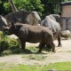 RRS_Fotogalerien_2014-05-25_Zoo-Krefeld071