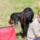 RRS_Fotogalerien_2015-07-26_Seehund-Abzeichen008