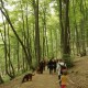RRS_Fotogalerien_2016-05-22_Kasbachtal045